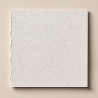 Cotton Paper swatch